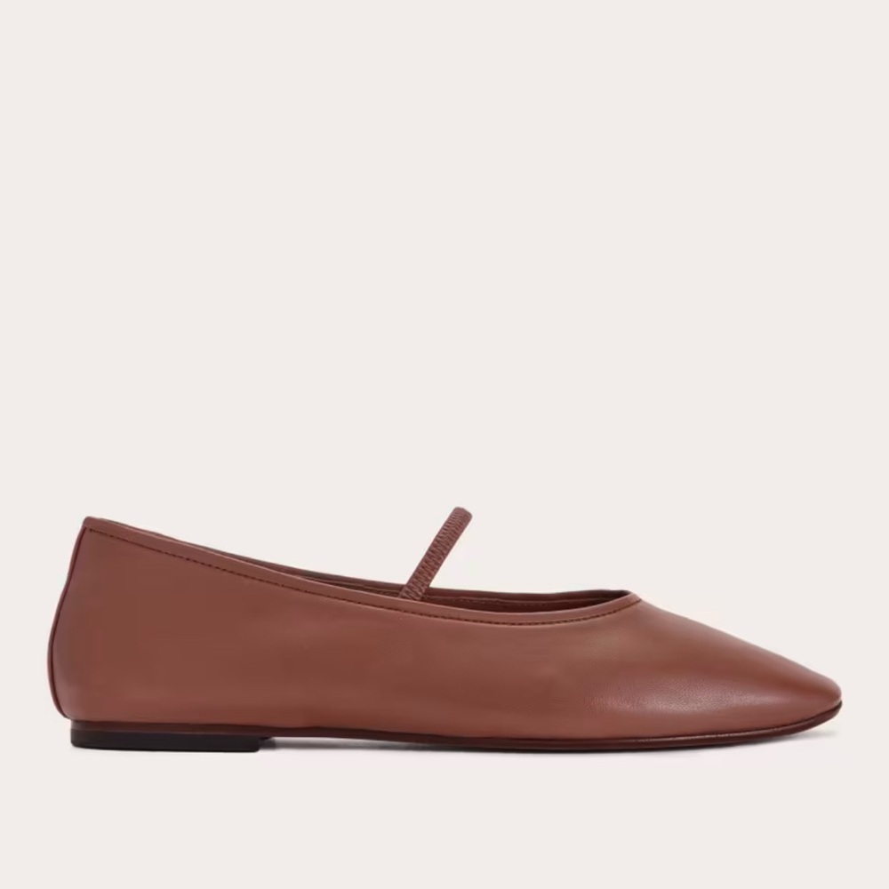 NWT Everlane Day Mary Jane Flats